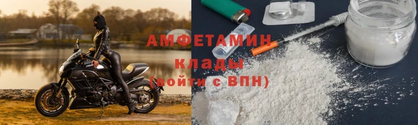 PSILOCYBIN Горняк