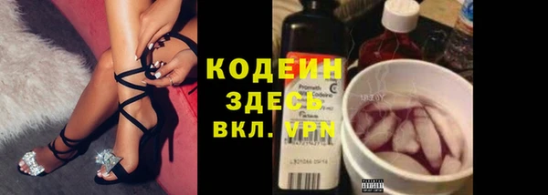 сатива Тында