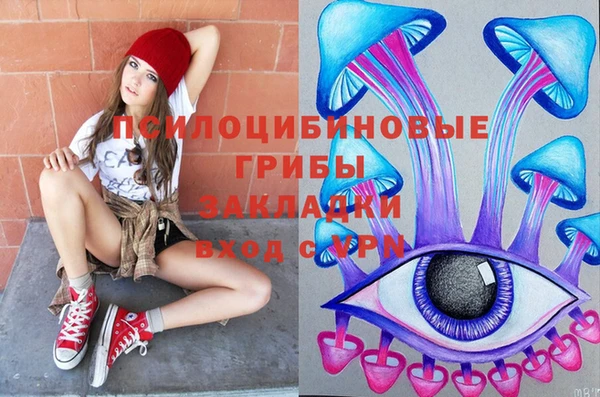 PSILOCYBIN Горняк