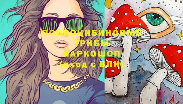 PSILOCYBIN Горняк